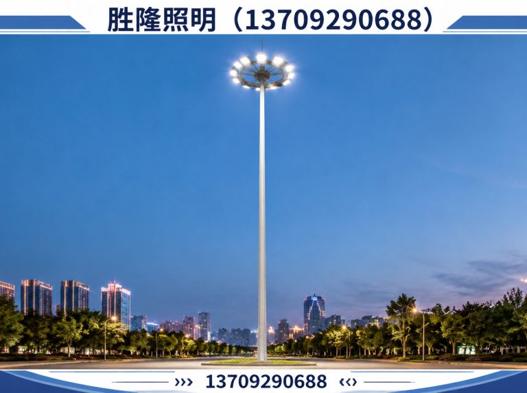 阎良区景观灯展示图